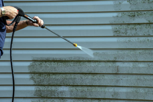 Best Best Pressure Washing Companies  in Palmyra, IN