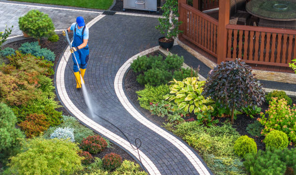 Best Fence Pressure Washing  in Palmyra, IN